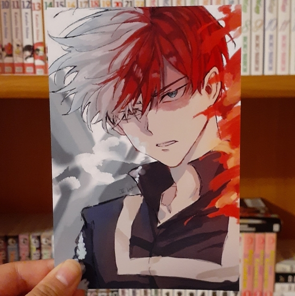 My Hero Academia: Todoroki Photo #1 - Picture 2 of 2